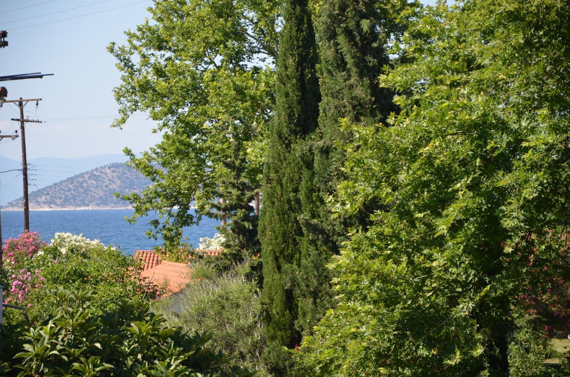 Egeo Hotel Limenas  Bagian luar foto